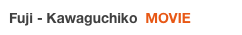 Fuji - Kawaguchiko  MOVIE 